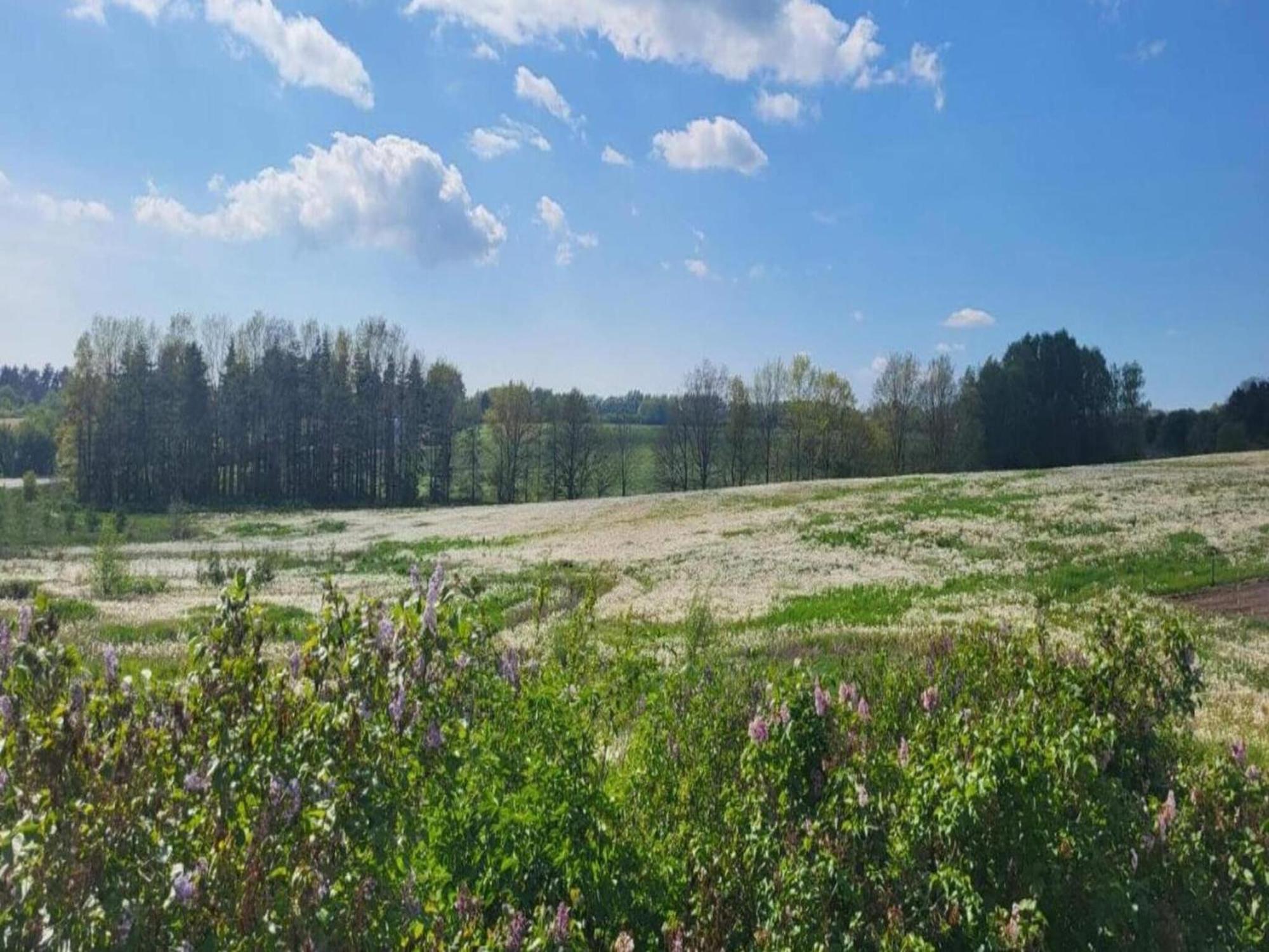 Appartamento Lysbjerg Fåborg Esterno foto