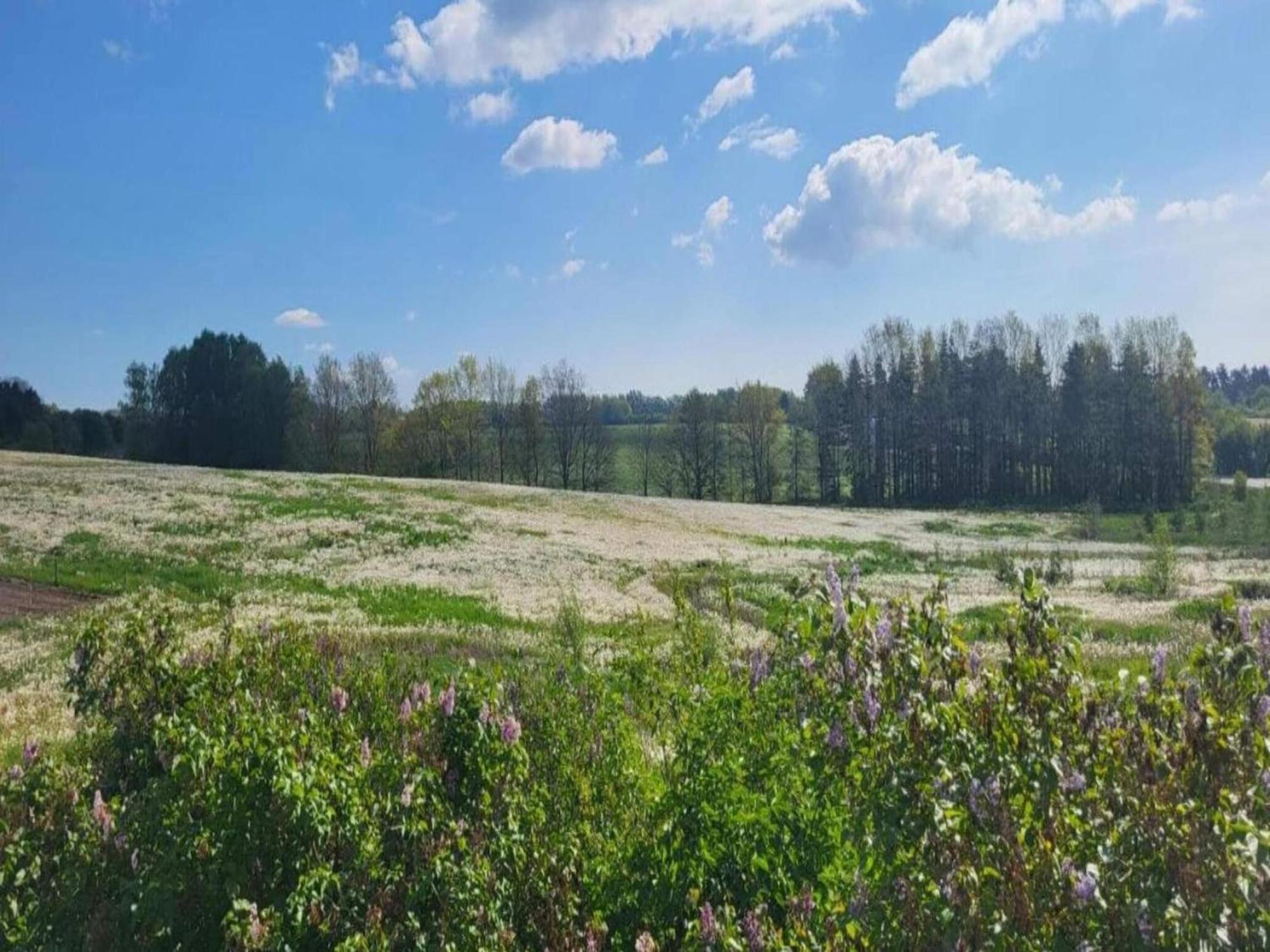 Appartamento Lysbjerg Fåborg Esterno foto