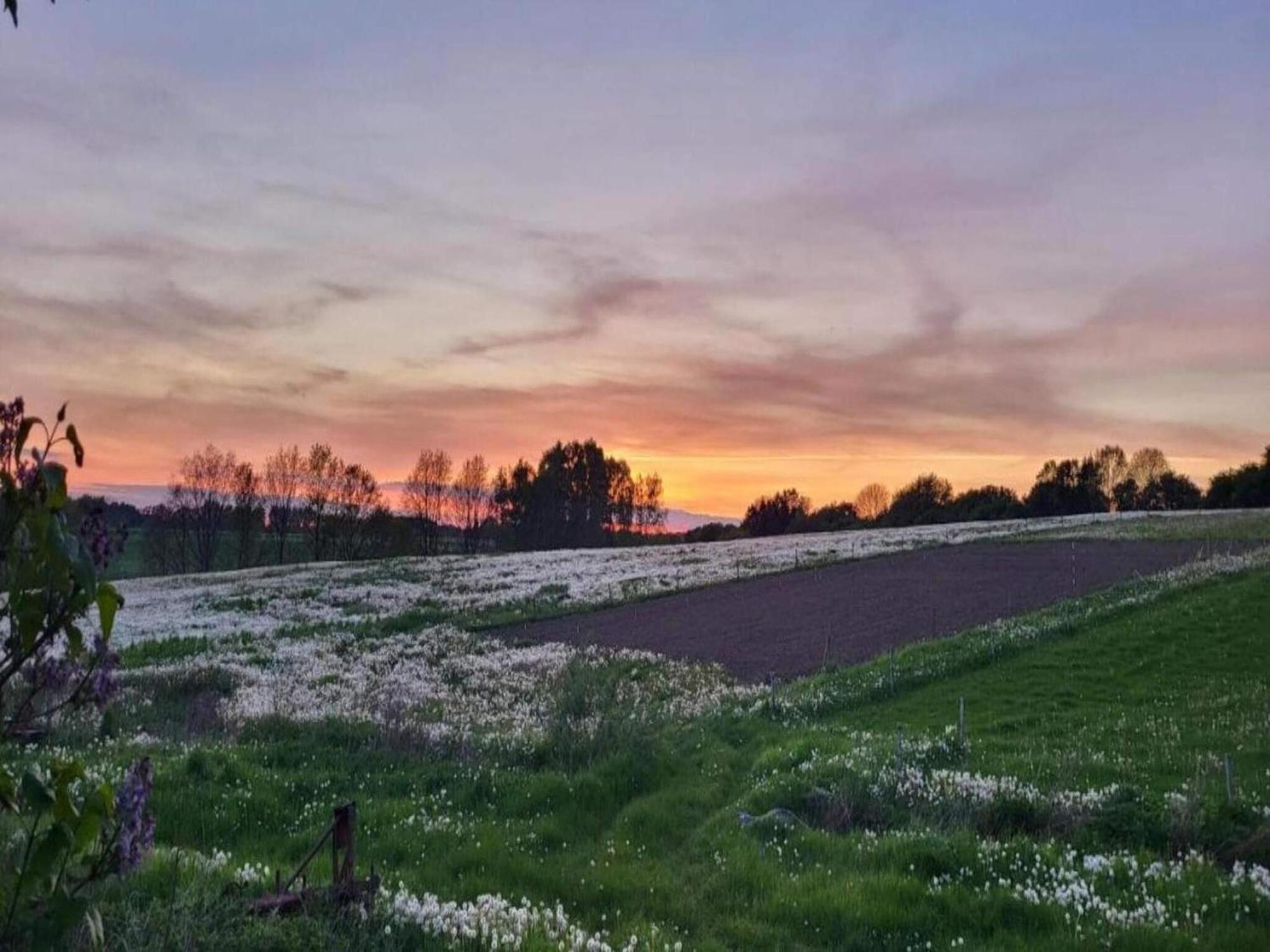 Appartamento Lysbjerg Fåborg Esterno foto